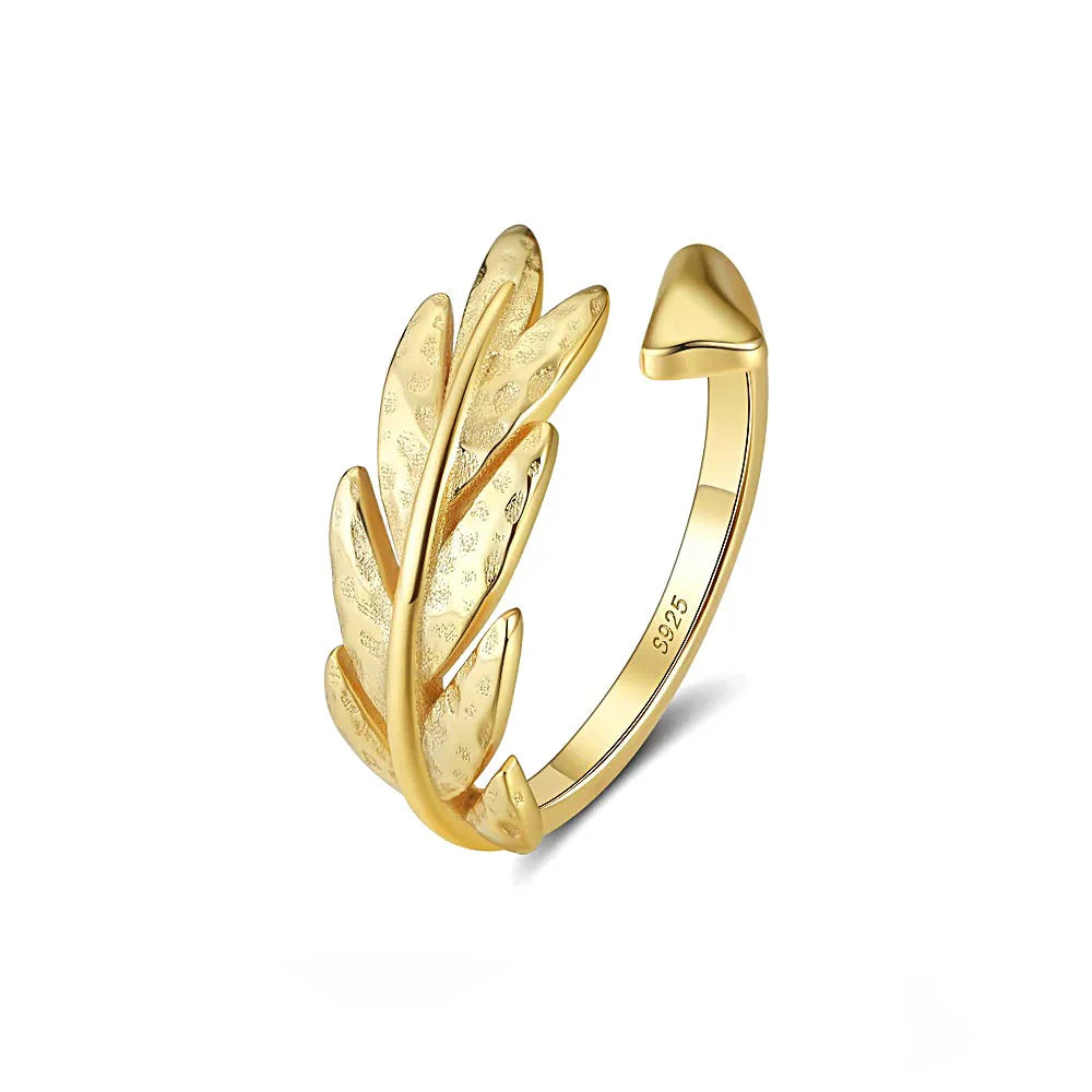 Does Aaron Rodgers Have a Super Bowl Ring? A Deep Dive Into the Quarterback’s Legacy